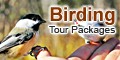 birding banner.jpg (5464 bytes)