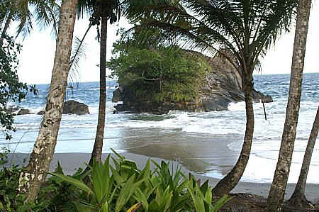 laspor beach on trinidad north coast along the trail to paria bay