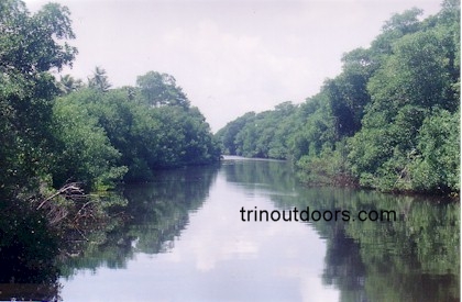 nariva river.jpg (40006 bytes)