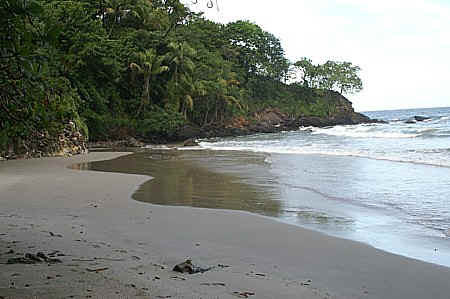 to delma beach on trinidad north coast after blanchisseuse